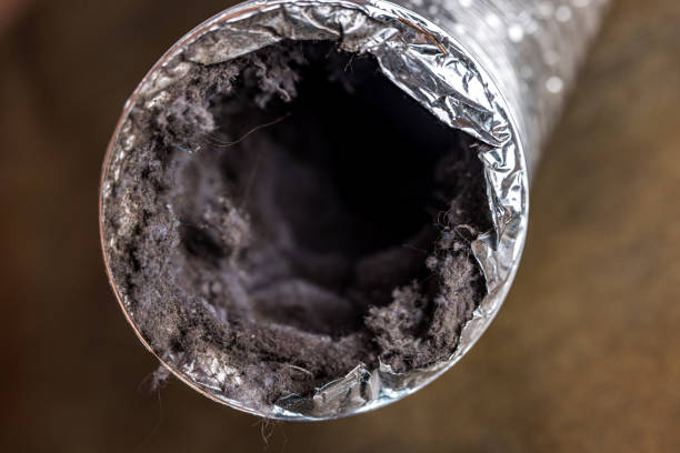 Best Residential Air Duct Cleaning  in Valmeyer, IL
